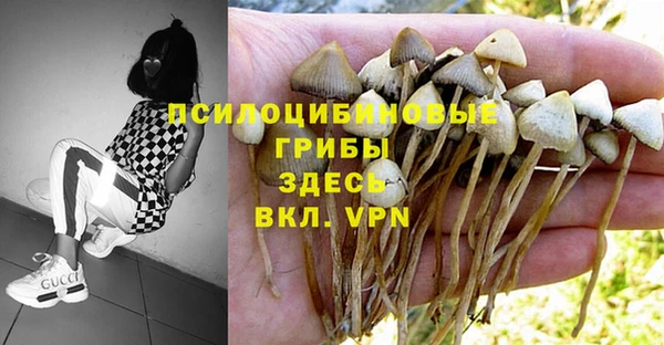 герыч Навашино