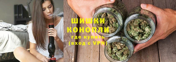 прущие грибы Аркадак