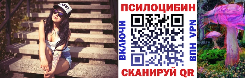 купить   Черняховск  Псилоцибиновые грибы Magic Shrooms 
